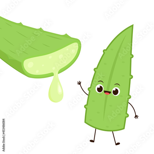 Aloe character design. Aloe cartoon vector. Aloe on white background.