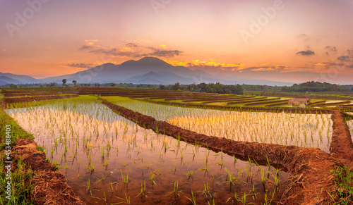 panorama morning view with beautiful rice fields reflecting the sky and the morning sun between the mountains in north bengkulu, indonesia