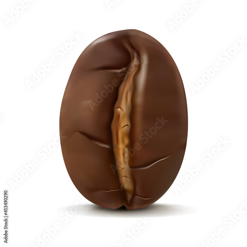 Vector Coffee Bean