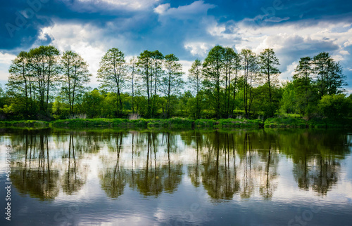 trees reflected in the water, a quiet day on the Narew River, Lomza, Podlasie, Poland photo