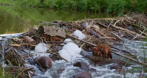 water flowing through a beaver dam with foam forming 