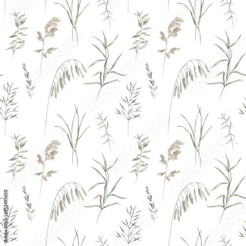 Watercolor summer field herbs seamless pattern. Botanical nature print on white background