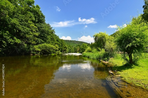 Beautiful summer landscape with river  forest  sun and blue skies. Natural colorful background. Jihlava River. Czech Republic - Europe.