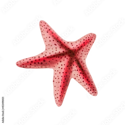 Starfish watercolor painting isolated on white background. Watercolor illustration   sea animal drawing.