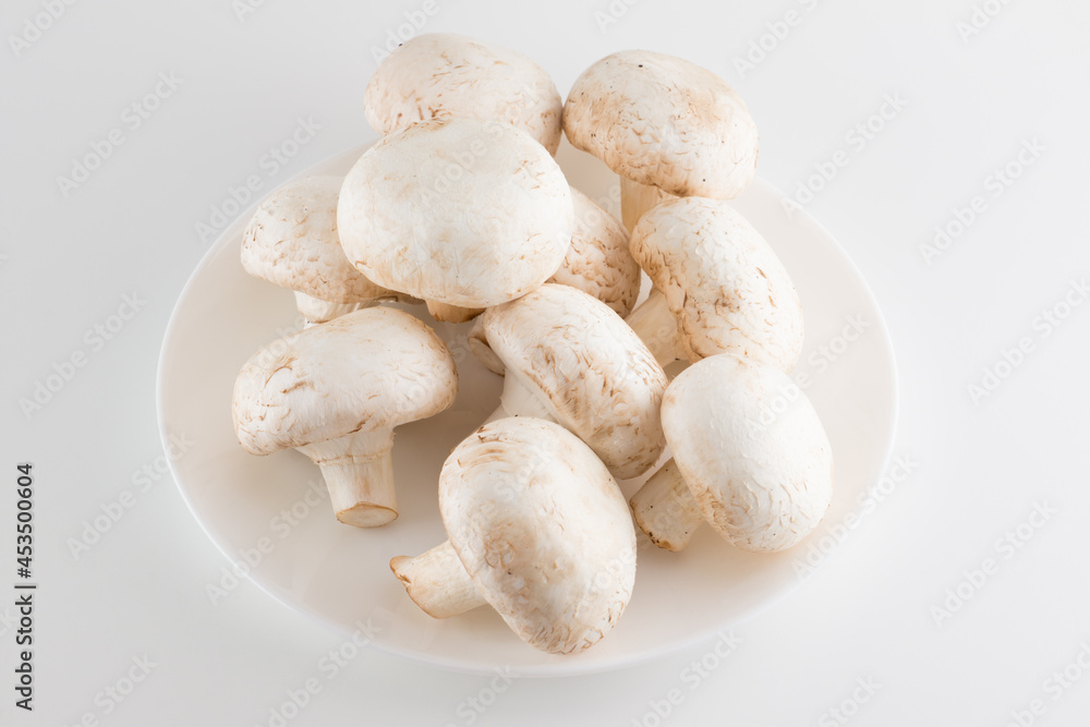 premium champignon mushrooms isolated premium champignon mushrooms isolated