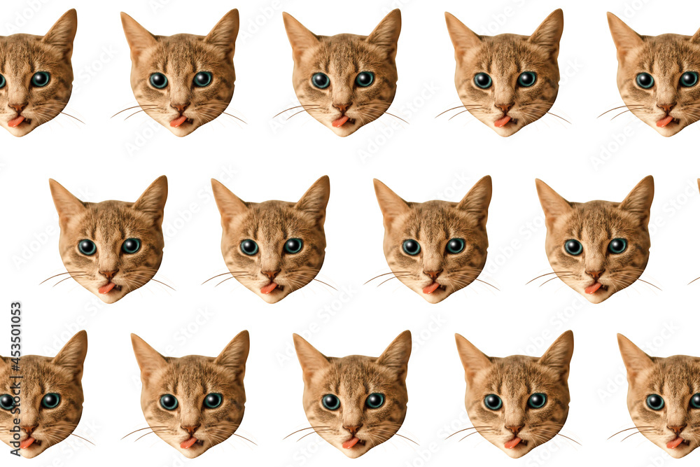 photo-art-print-set-of-adorable-cat-faces-pattern-shi
