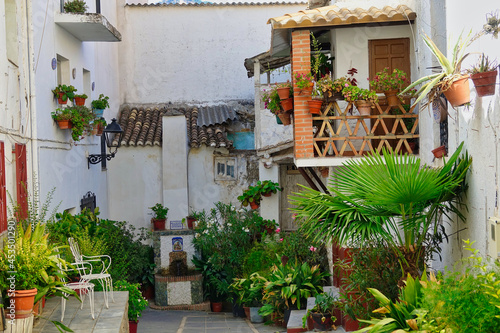 Fototapeta Naklejka Na Ścianę i Meble -  Walking through the narrow streets full of green pots and flowers in the Granada town of Güejar-Sierra (Spain)