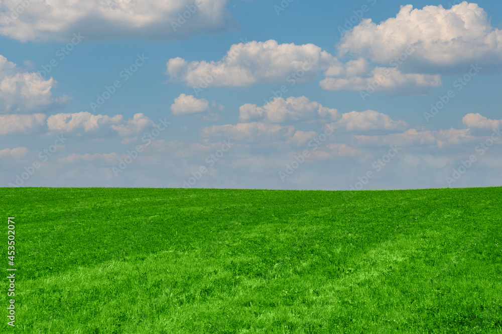 bright green grass on the field under the clouds