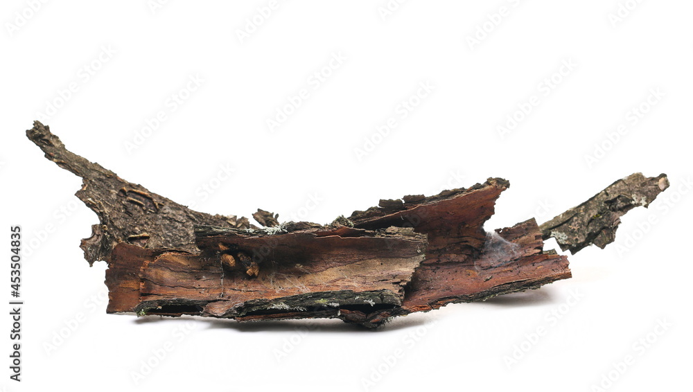 Rotten tree bark isolated on white background, side view - obrazy, fototapety, plakaty 