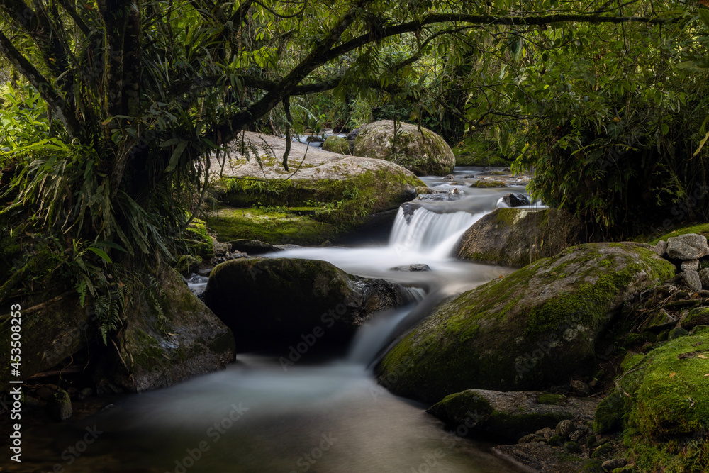 waterfall in the forest