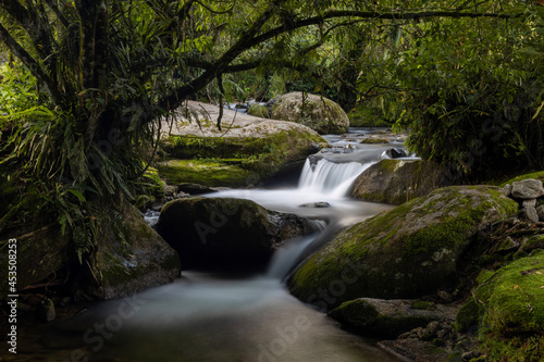 waterfall in the forest