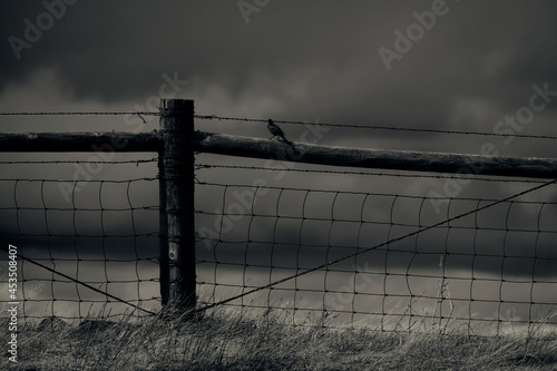 rustic farm fence