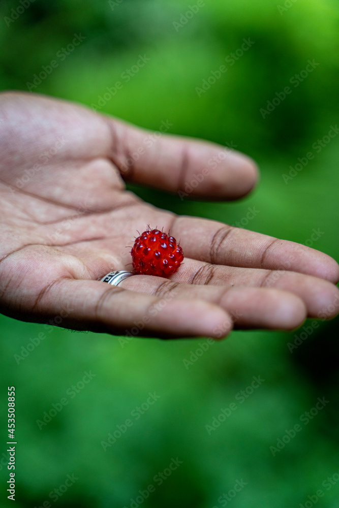 Closeup of Raspberry in a hand with a ring Closeup of Raspberry in a hand with a ring