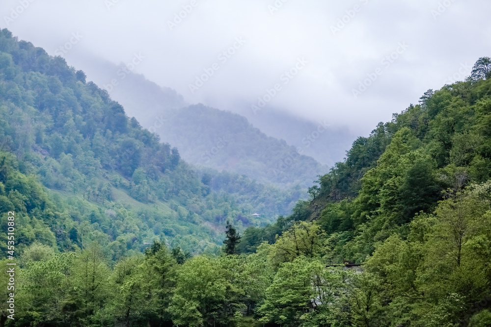 Green misty hills and mountains of Georgia