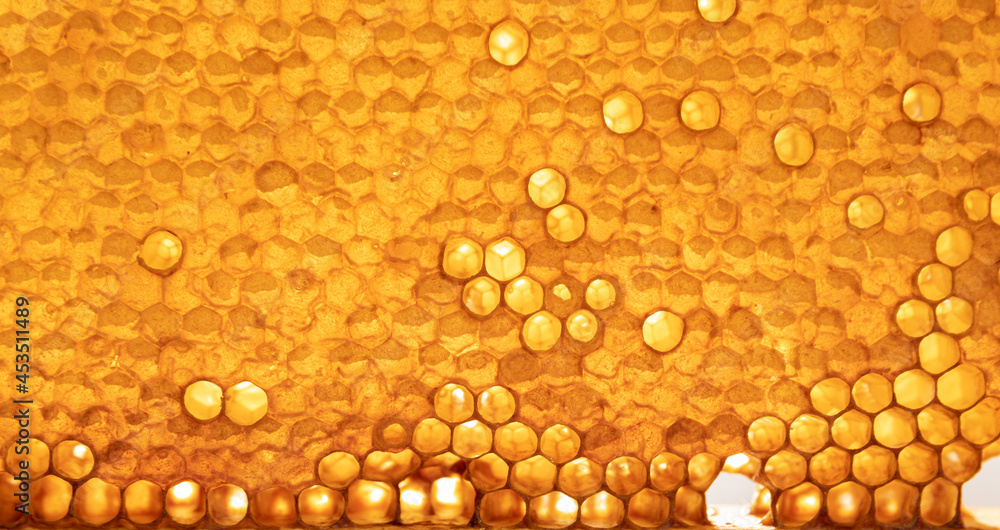 Honey in honeycombs Honey in honeycombs