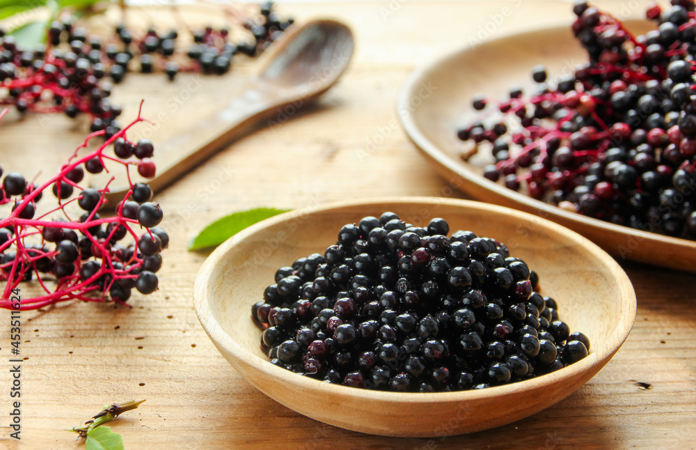 Schwarze Holunderbeeren sammeln ernte Beeren Fliederbeeren Schwarze Holunderbeeren sammeln ernte Beeren Fliederbeeren