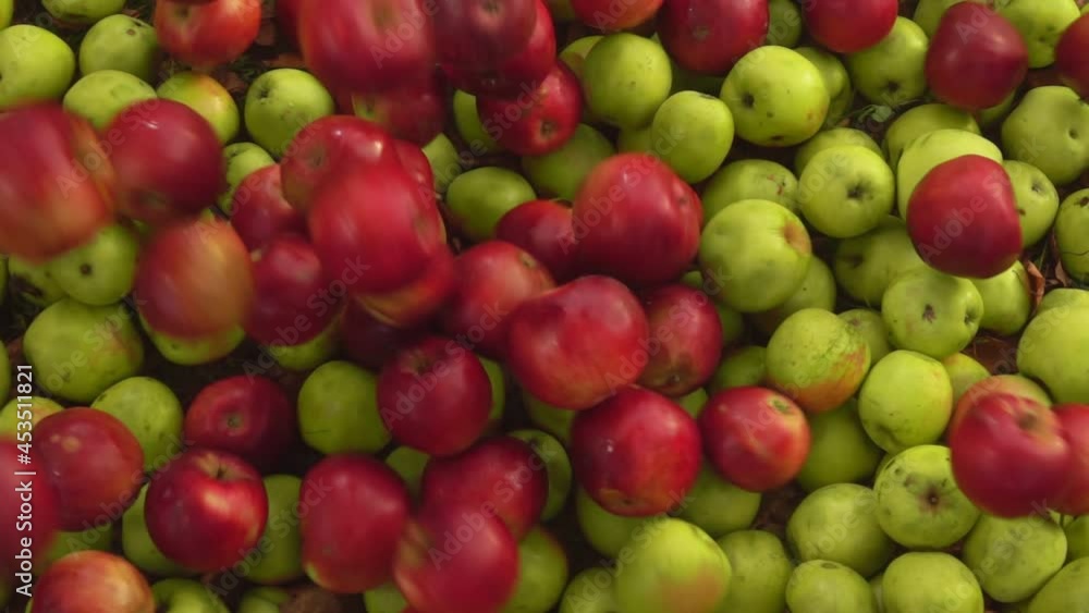 Top view of the delicious red apples falling on the green apples in slow motion Top view of the delicious red apples falling on the green apples in slow motion
