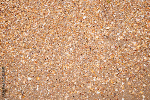 Slika na platnu Texture of yellow sand with shell particles.