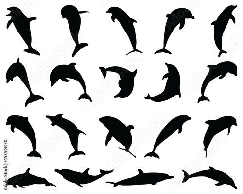 Black silhouettes of dolphins on a white background