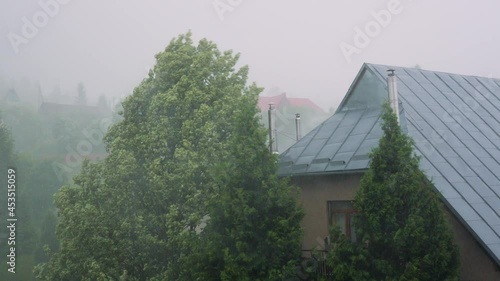 Blowing wind rain storm damage tree. Bad weather storm city. Heavy rain and strong wind blowing trees. Downpour, storm wind gust. Rainstorm. Stormy weather city flood street rain shower. Rainy weather