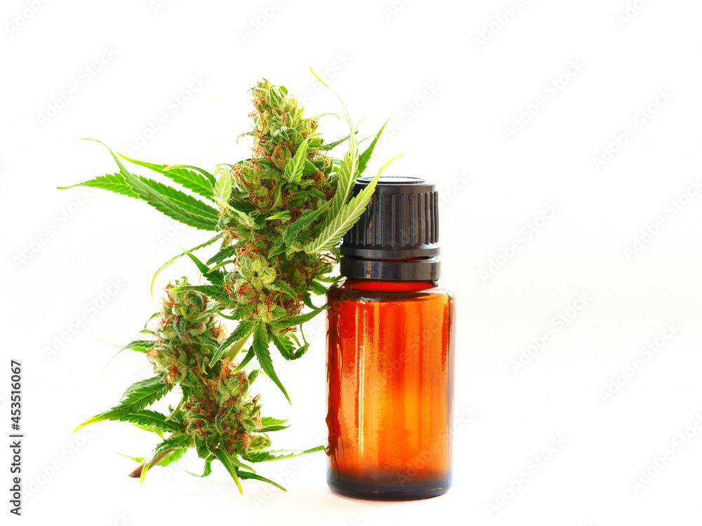 Fototapeta premium cbd oil cannabis