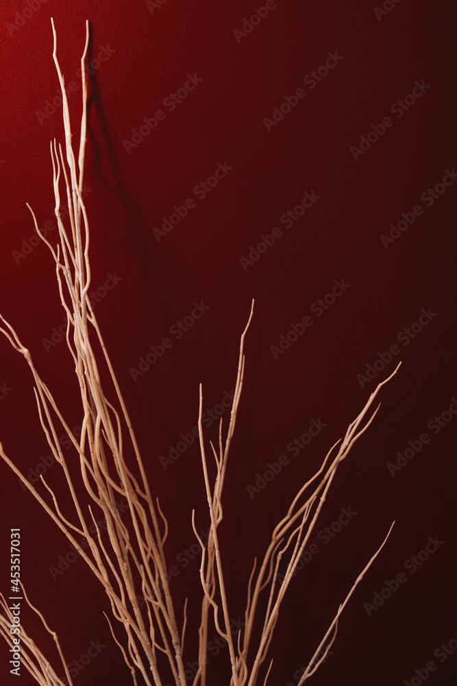 Branches of dried flowers on the background of a red wall. Vertical Branches of dried flowers on the background of a red wall. Vertical