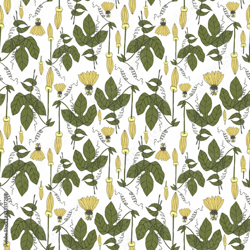 Seamless botanical light pattern with pasiflora flowers
