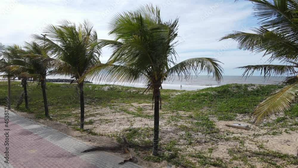 Passarela Ecológica do Gigica sobre o manguezal e ao final praia fluvial e de mar aberto. Cidade de Mucuri, no sul da Bahia na região nordeste do Brasil.
Passarela Ecológica do Gigica sobre o manguezal e ao final praia fluvial e de mar aberto. Cidade de Mucuri, no sul da Bahia na região nordeste do Brasil.