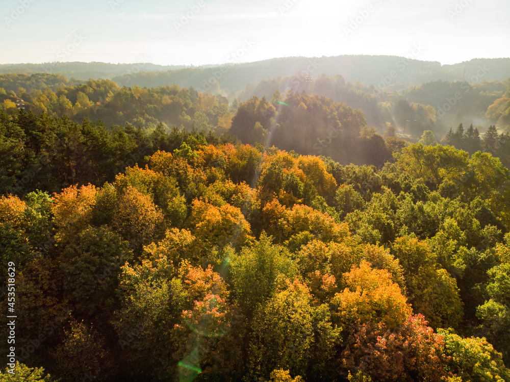 Aerial view of autumn forest with green and yellow trees. Mixed deciduous and coniferous forest. Beautiful fall scenery near Vilnius, Lithuania