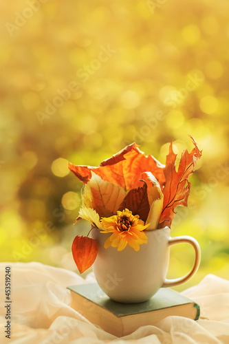 Autumn background. A bouquet of autumn leaves and flowers in a cup on an open book on a bright blurred background. Season of learning and knowledge.