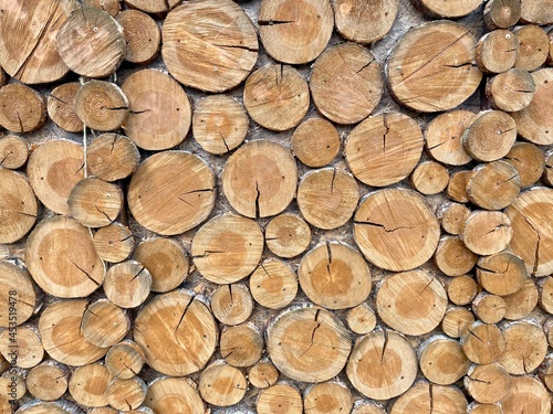 stack of firewood