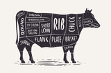 Cut of beef. Butcher diagram and scheme. Cow vintage typographic vector illustration