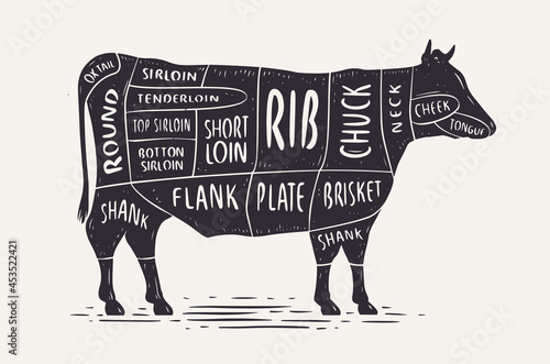 Cut of beef. Butcher diagram and scheme. Cow vintage typographic vector illustration photo
