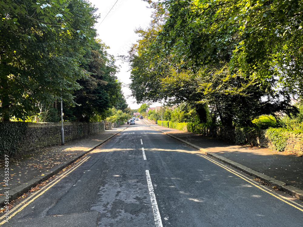 Looking down, Kendall Avenue, with old trees, and distant houses near, Saltaire, Bradford, UK Looking down, Kendall Avenue, with old trees, and distant houses near, Saltaire, Bradford, UK
