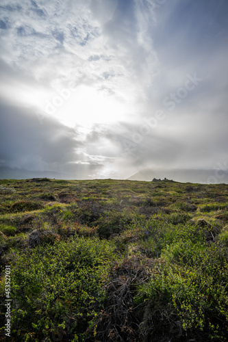 Iceland landscapes