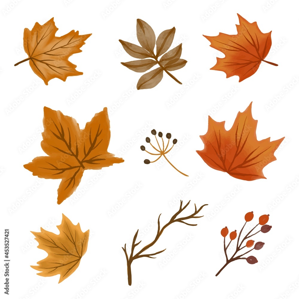 autumn leaves collection, autumn vector design