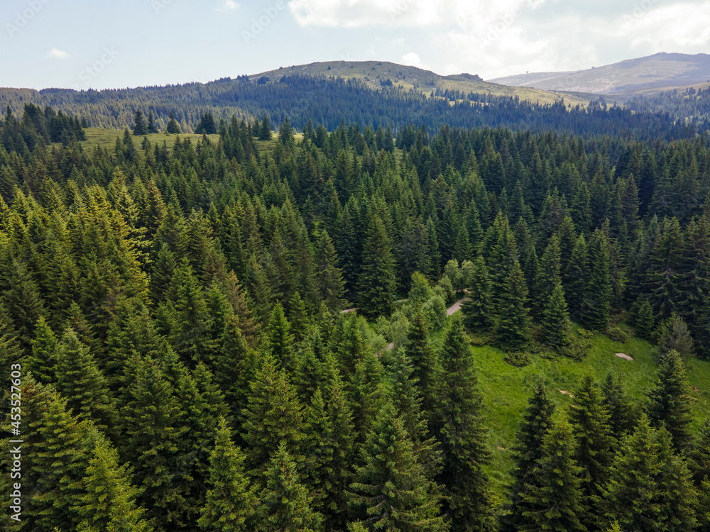 Aerial view of Konyarnika area at Vitosha Mountain, Bulgaria Aerial view of Konyarnika area at Vitosha Mountain, Bulgaria