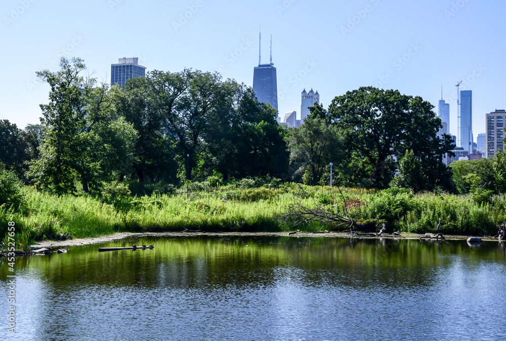Obraz premium city skyline in the park