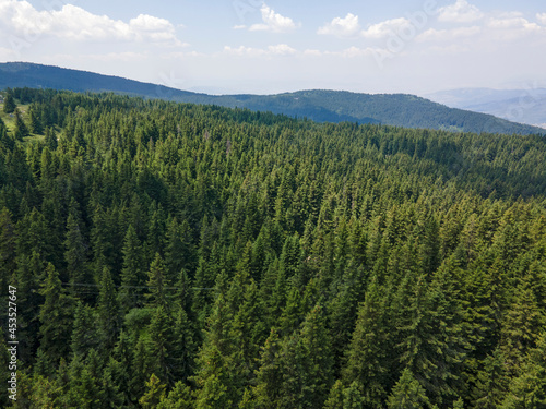 Aerial view of Konyarnika area at Vitosha Mountain, Bulgaria © Stoyan Haytov