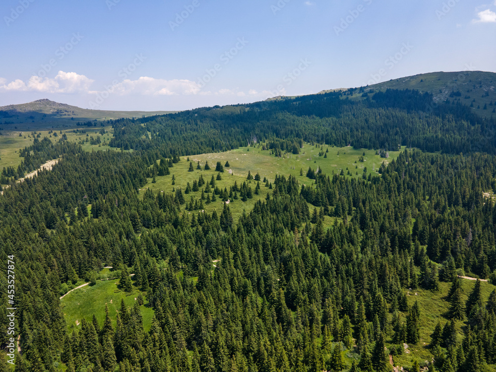 Aerial view of Konyarnika area at Vitosha Mountain, Bulgaria Aerial view of Konyarnika area at Vitosha Mountain, Bulgaria