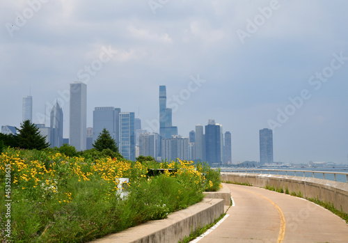 city skyline along shoreline walking path