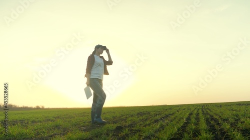 agriculture, farmer walks across the field in the glare of sun working in tablet, wheat field at sunset, young green rye, fertilized soil with shoots, agronomist in boots works in field of rural land © Валерий Зотьев
