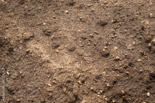 texture of agricultural earth