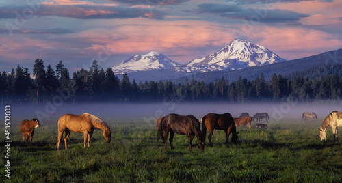 Sunrise with horses on a foggy Black Butte Ranch madow with the Three Sisters mountains in the background