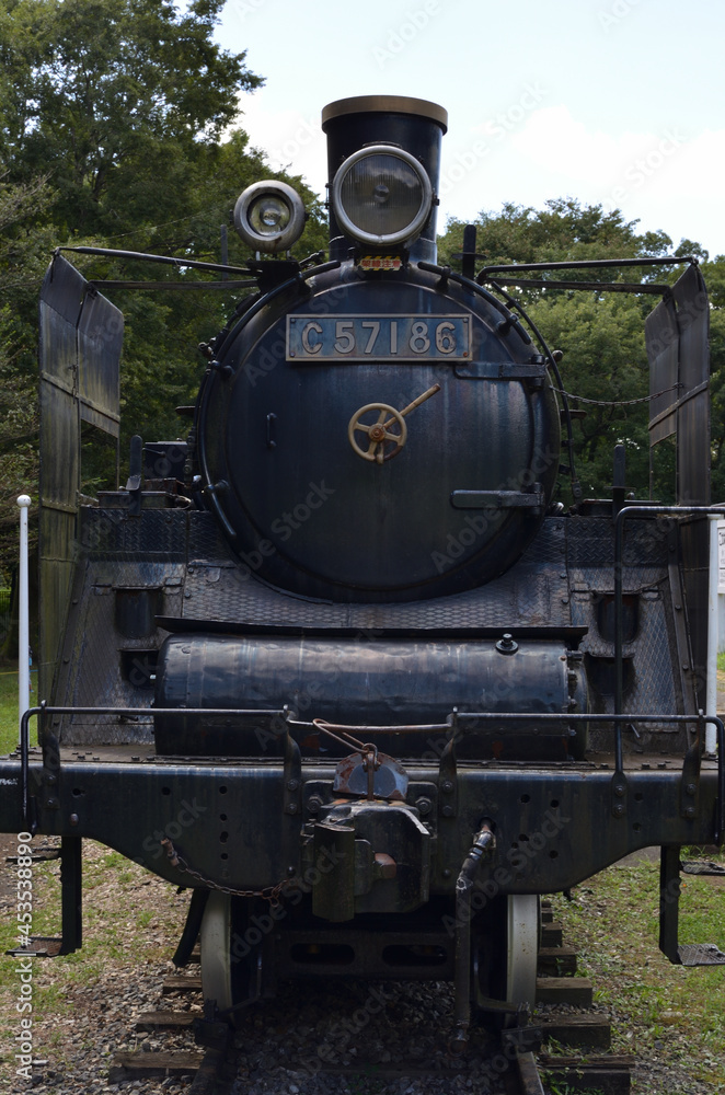 Naklejka premium 小金井公園のSL