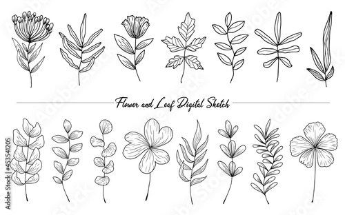 Flower and Leaf Digital Sketch