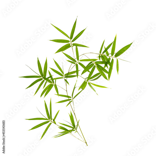 green bamboo leaves isolated on white background © xiaoliangge