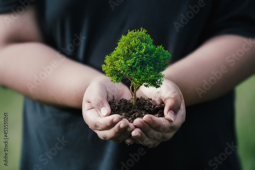 CSR concept and business planting saplings of trees.