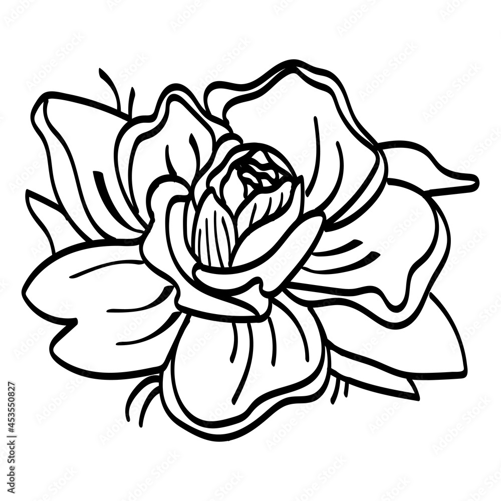 Vector image of a rose flower. Botanical illustration. Design for prints, tattoos, stickers, postcards, logos. Vector image of a rose flower. Botanical illustration. Design for prints, tattoos, stickers, postcards, logos.