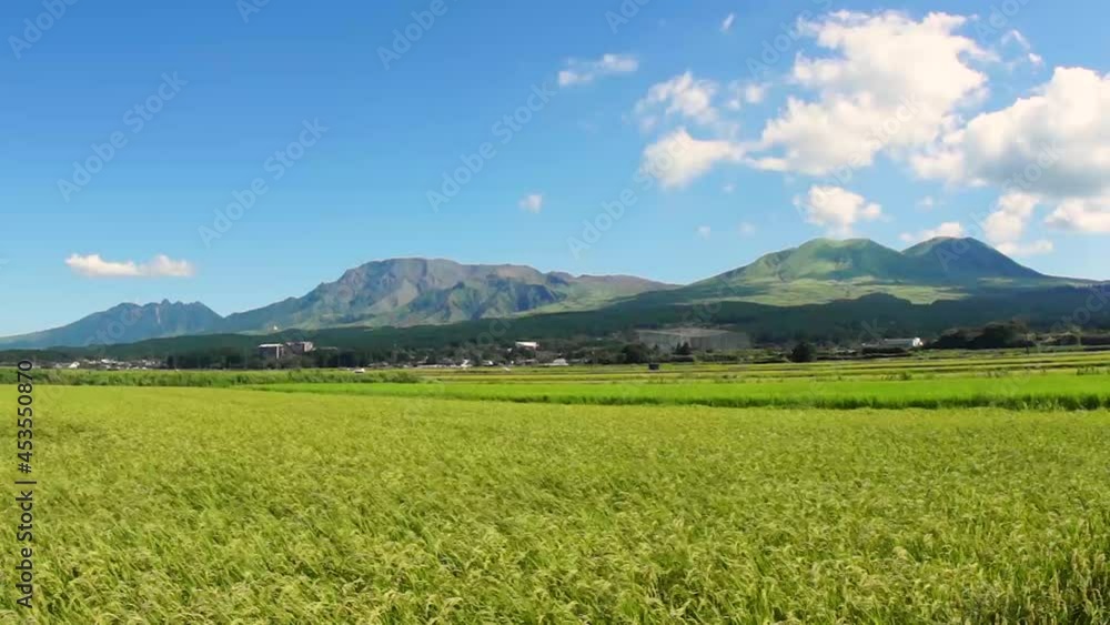 阿蘇五岳と風にゆれる稲穂 阿蘇五岳と風にゆれる稲穂